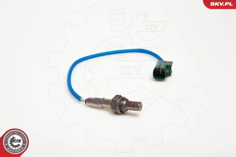 Oxygen Sensor